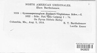 Gymnosporangium juniperi-virginianae image